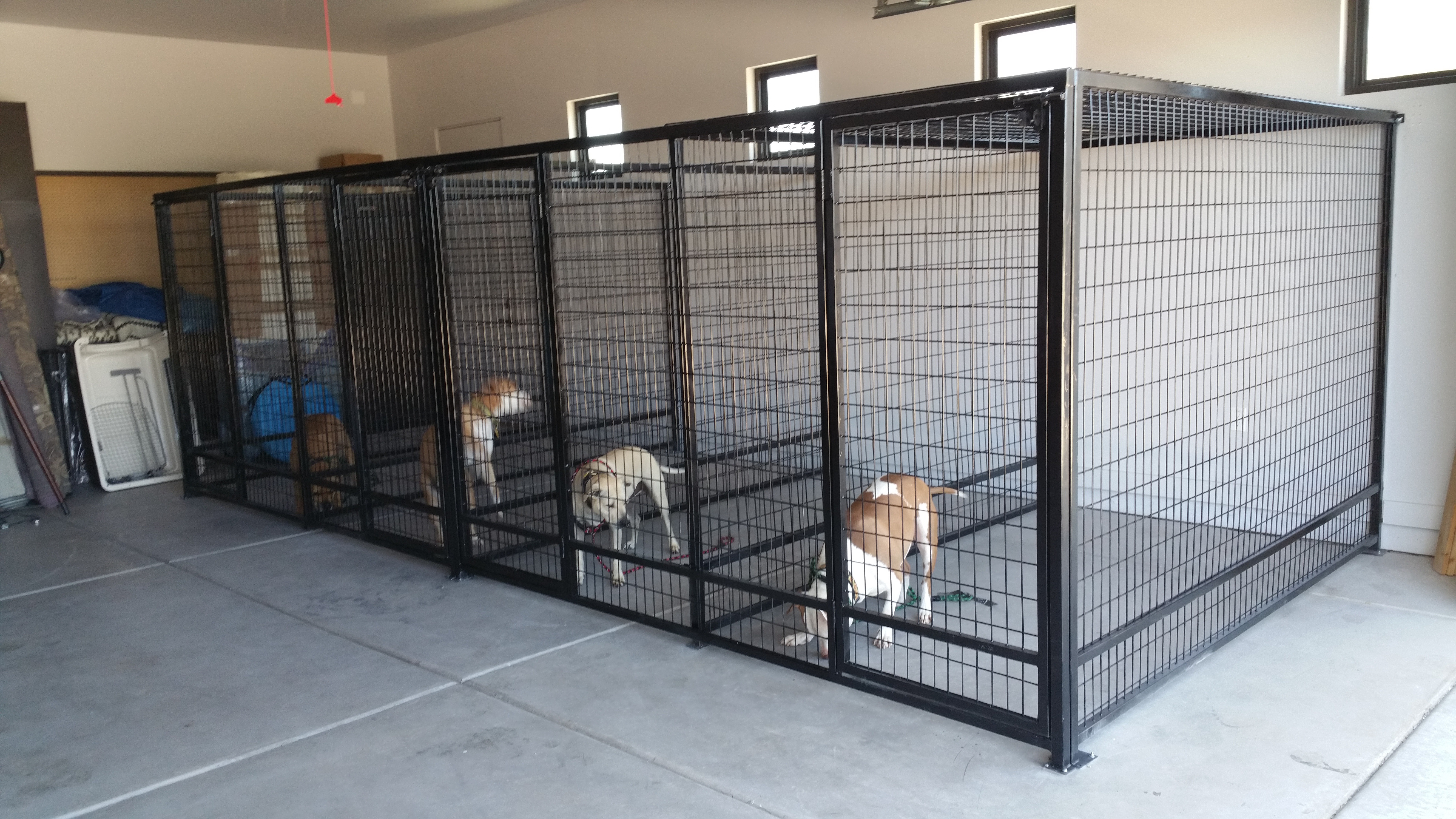 Coyote Proof Pet Kennels For Sale, Free 